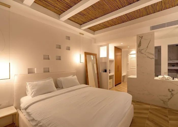 米科诺斯角酒店 3*